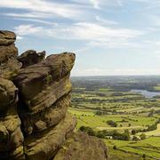 1220 roaches 1202186108