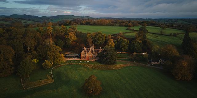 22 Nov Wildhive WR 22