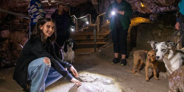 3bc9f2e7f48e298e624d5d3754f81f03 hd