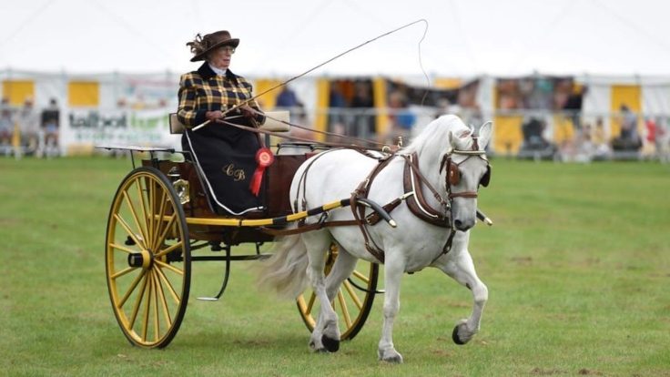Ashbourne Show 1