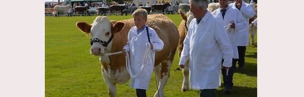 A Shbourne Show p new