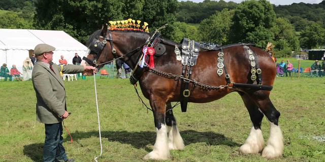 Ashover Show