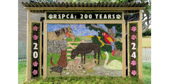Barlow Well Dressing 2025 new