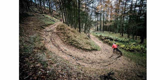 Bike Garage 12 new 1863902638