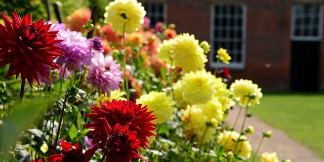 Calke Abbey 6 269573033