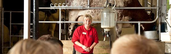 Chatsworth Farmyard 1new 834419486