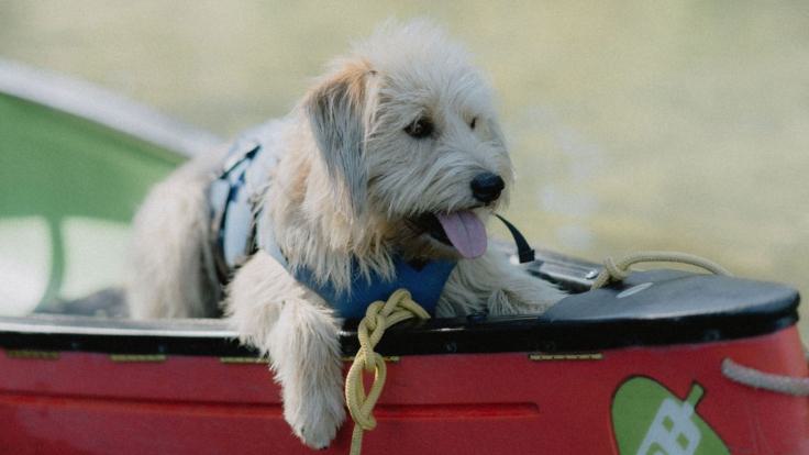 CROMFORD CANAL KAYAKING 1