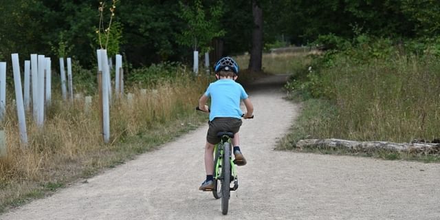 Family Hiring Cycles Calke Explore Steve Franklin15 Aug202218