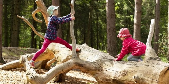 FSP Calke Explore 076