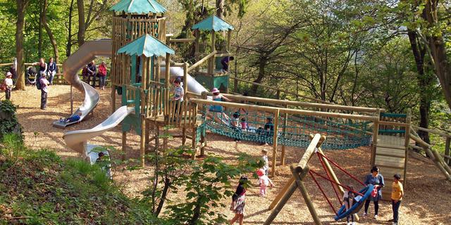 H of A woodland adventure