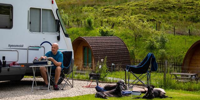 Hayfield C C Site dogs resized 405808611