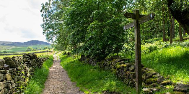 Hayfield C C Site path view resized 219907573