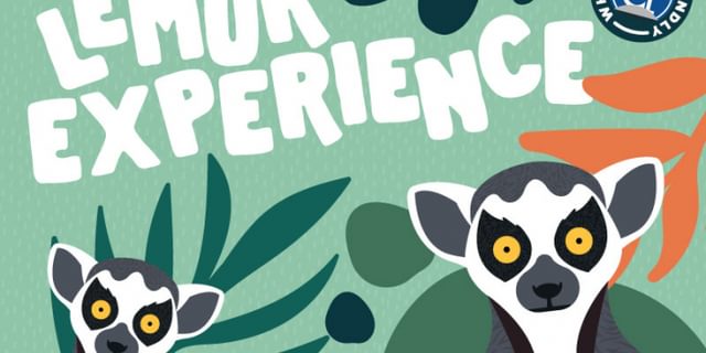 Lemur