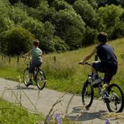 Manifold Bike Hire 2 1652965564