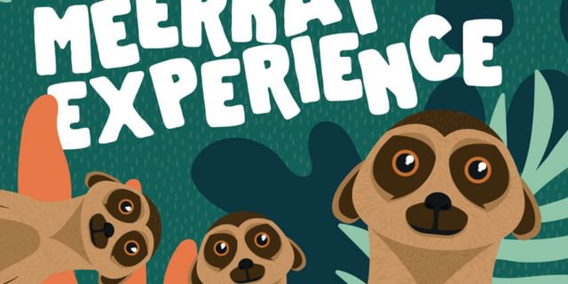 Meerkat