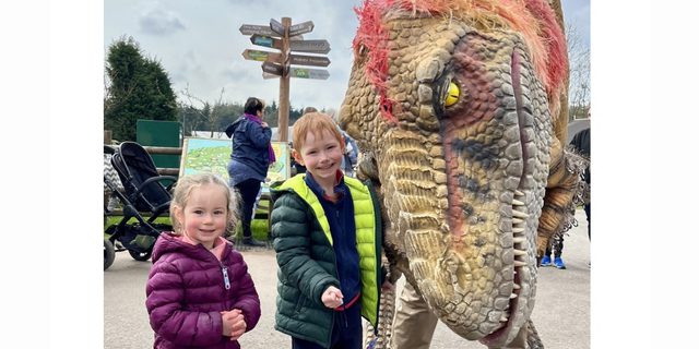 MFP Dino fun day 2025 new