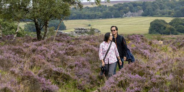 NT Longshaw 3 new 154291814