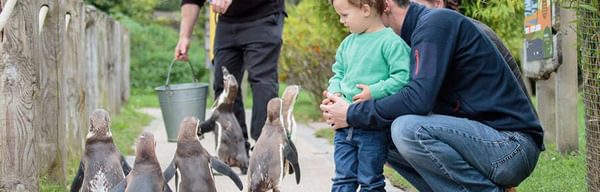 Peak wildlife 4 88545854