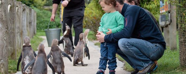 Peak Wildlife Park