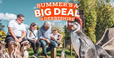 Press landing page image 5