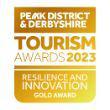 Resilience and Innovation Gold 2023