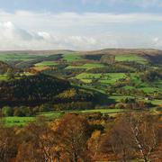 Surprise view 1971036449