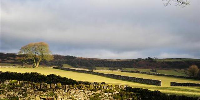 The Barrel Inn 2 1 1374020347