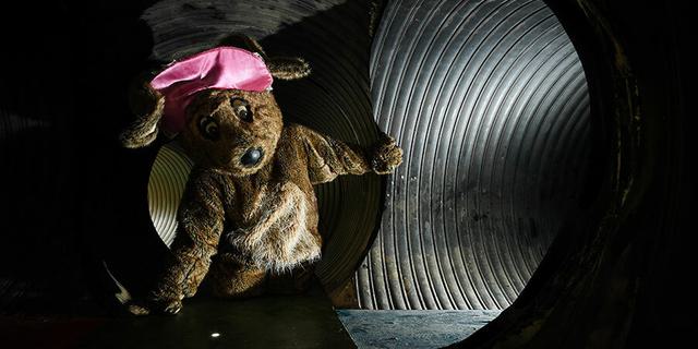 The Warrens CONKERS Derbyshire 803783255