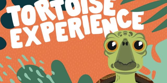 Tortoise