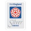 VE Silver Award
