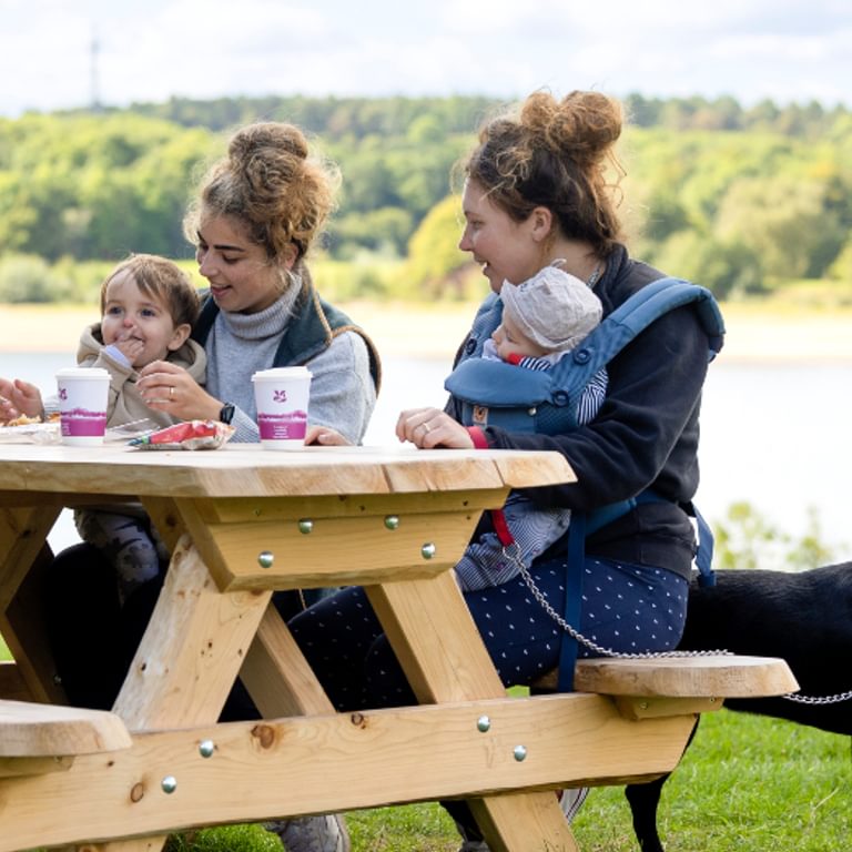 Visitors enjoying a picnic at Foremark Derbyshire